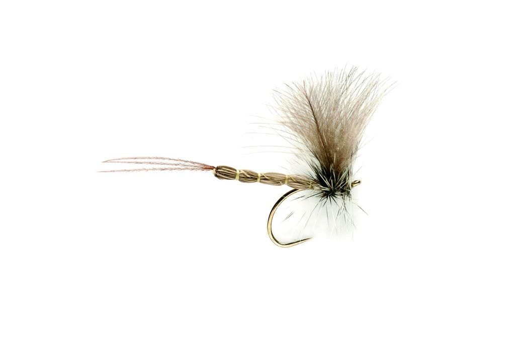 Mayfly CdC